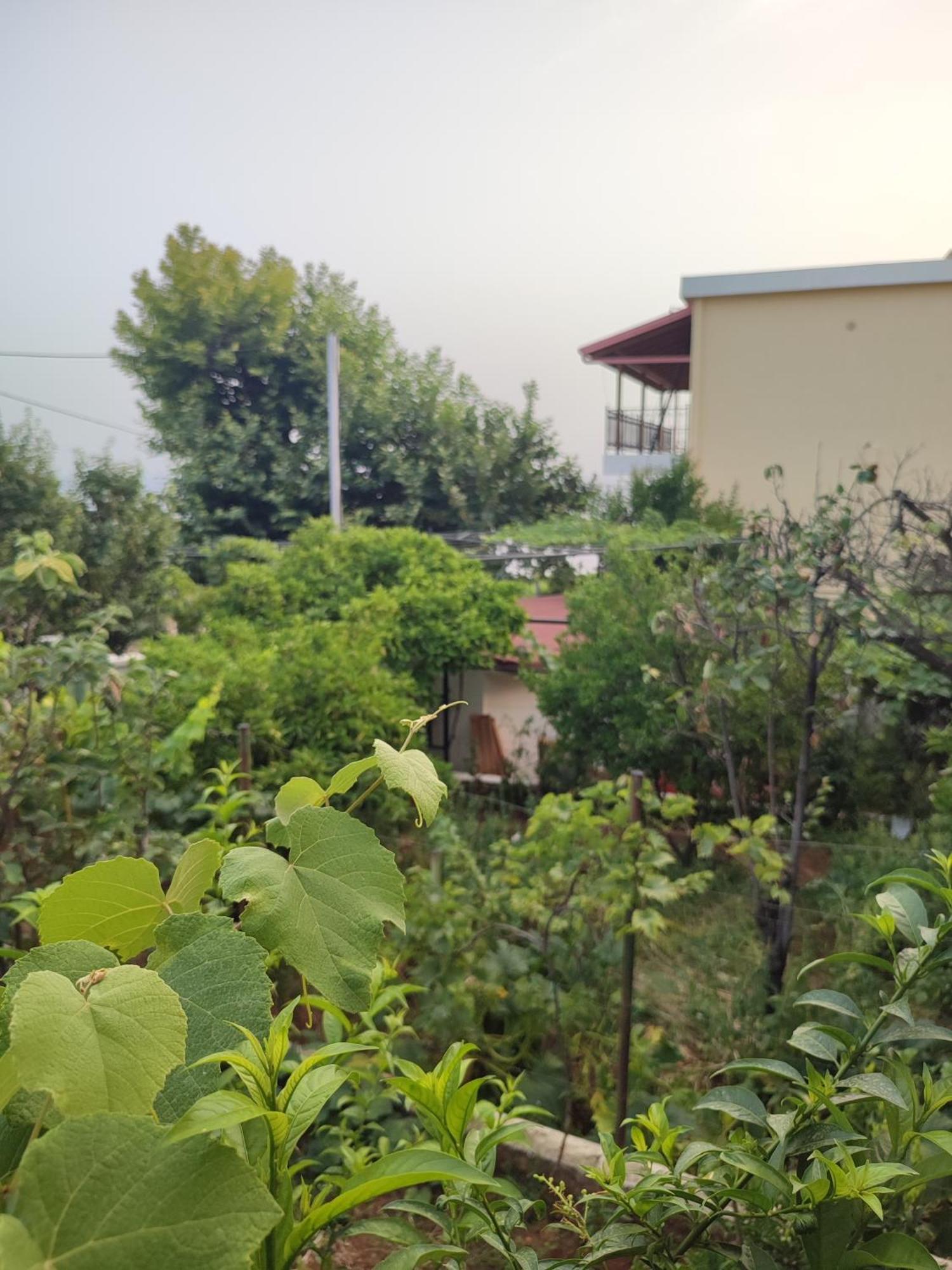 Villa Janilla Dhermi Bagian luar foto